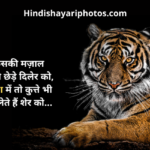 Attitude Shayari Status in Hindi