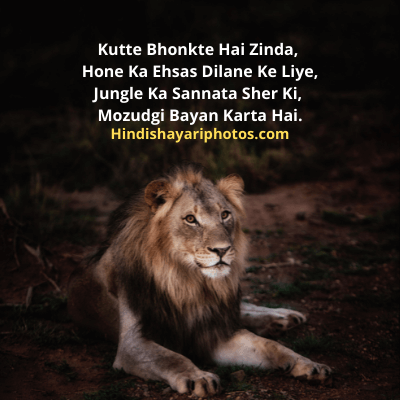 Attitude Shayari in English