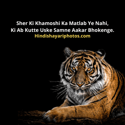 Shayari in English Attitude